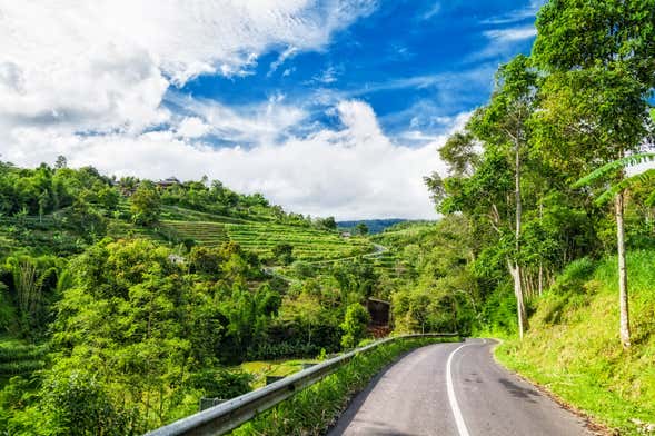 Location de voiture avec chauffeur à Bali