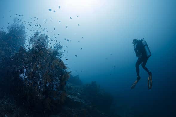 Plongée à Bali