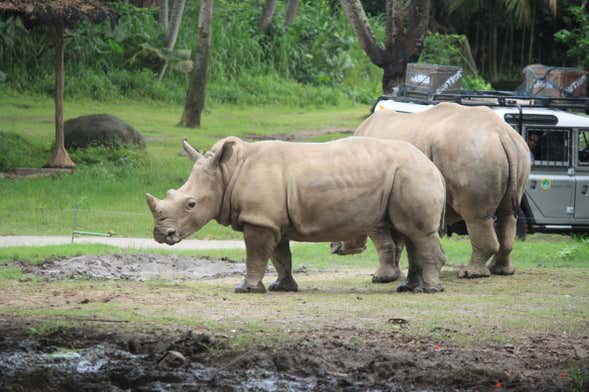 Billet pour le Safari and Marine Park
