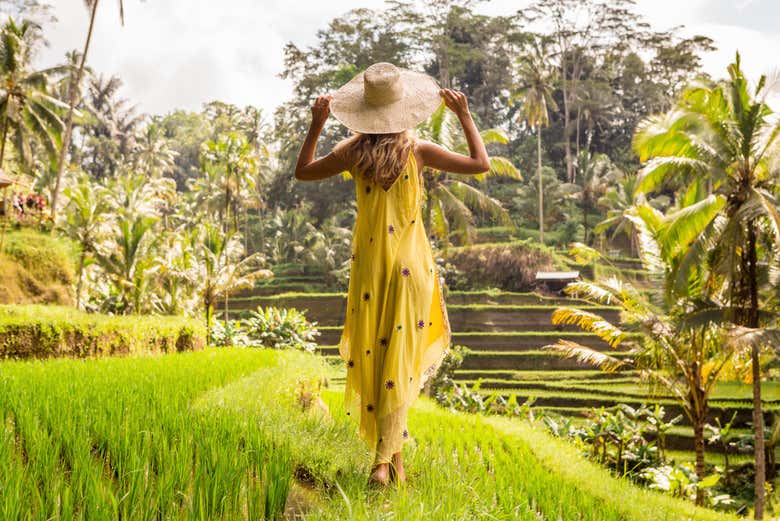 Les rizières de Bali