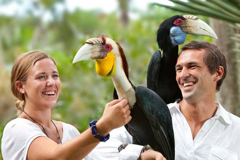 Profitez d'une journée au milieu des oiseaux