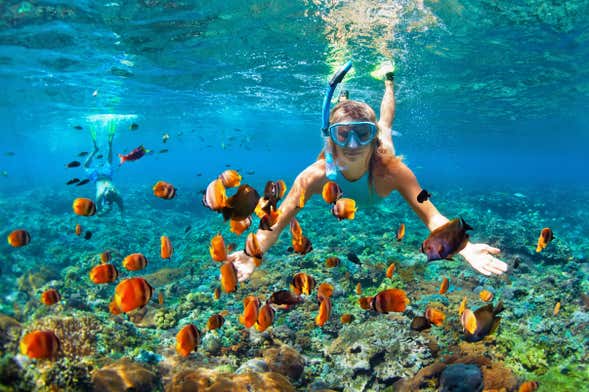 Snorkeling à Bali