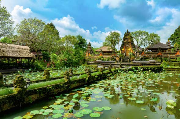Visite guidée dans Ubud